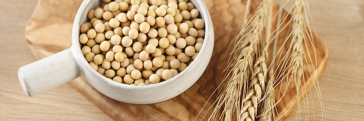 “可持续料理哲学” 2018从每一餐启发与思考