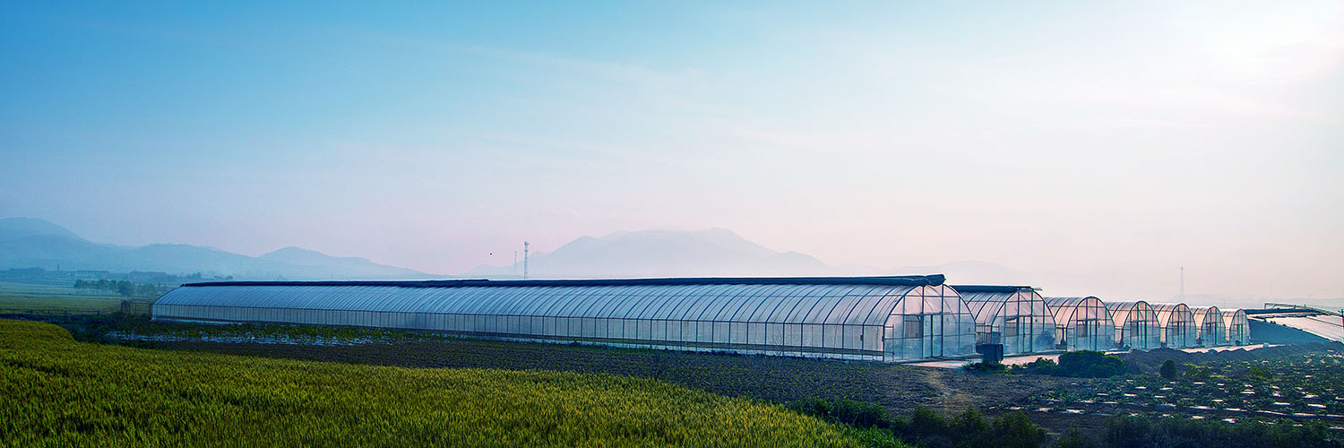 春华秋实,旭耕“有机生活月”陪你收获累累硕果